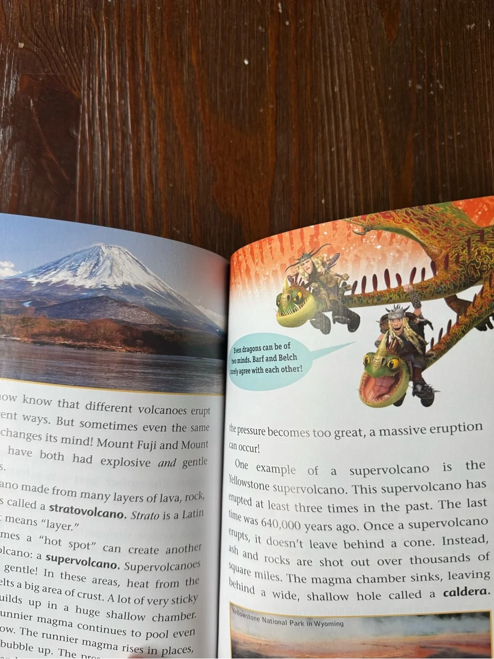 School of Dragons Volcano Escape non-fiction book How to Train Your Dragon